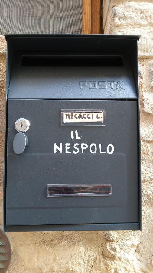 Appartamento Il Nespolo 圣吉米纳诺 外观 照片